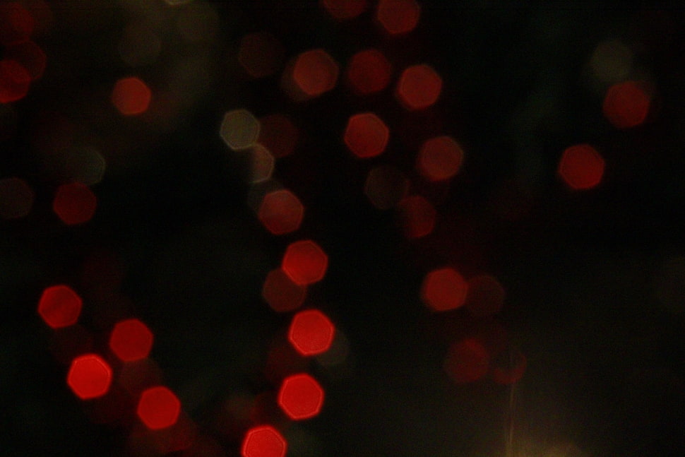 photography of red bokeh HD wallpaper