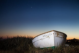 white rowboat on a green grasses during dusk HD wallpaper