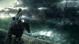 man riding horse digital wallapepr, video games, The Legend of Zelda, Link HD wallpaper