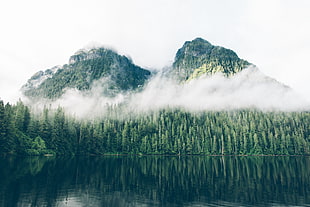 green mountain, nature, mountains, water, forest