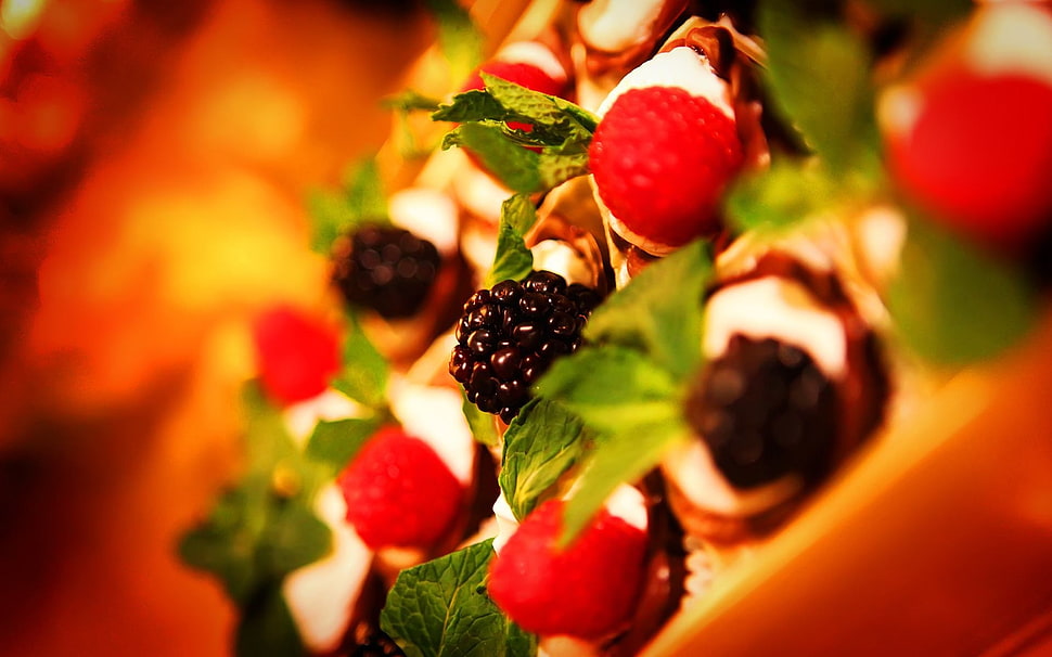 selective focus photography of blackberry HD wallpaper