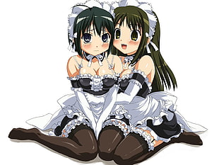 two woman anime character HD wallpaper
