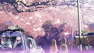 male and female character, 5 Centimeters Per Second, anime HD wallpaper