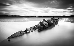 grayscale photo of shipwreck, nature, landscape, water, sea