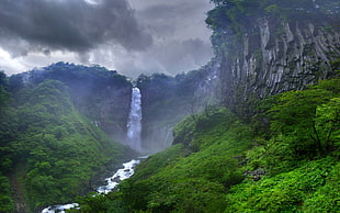 green tree, nature, landscape, waterfall, river