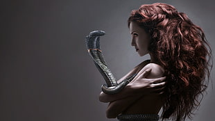 gray snake, snake, redhead HD wallpaper