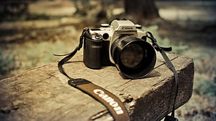 black and gray Canon DSLR camera, camera, Canon HD wallpaper