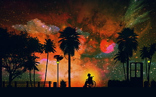silhouette of palm trees and man on wheelchair painting, night HD wallpaper