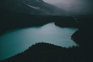 green leafed trees, landscape, nature, photography, Peyto Lake HD wallpaper