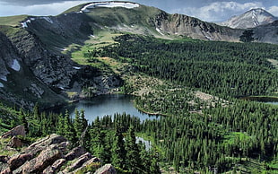 lake surrounded by trees