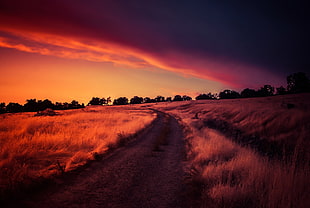 dirt road and grass field, sunlight, dark, nature, sky