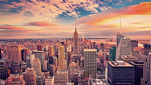 aerial photography of Empire State Building in New York during daytime HD wallpaper