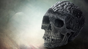 gray human skull painting illustration HD wallpaper