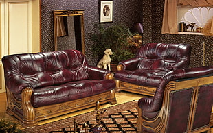 brown leather living room sofa vacant in the room HD wallpaper