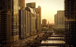 photo of a high-rise buildings and a road full of cars
