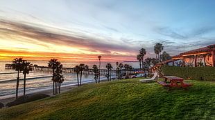 red picnic table, nature, landscape, palm trees, California