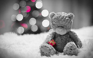 selective focus photography of bear, New Year, snow HD wallpaper