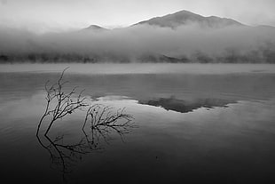 grayscale photo of mountain covered in fog HD wallpaper